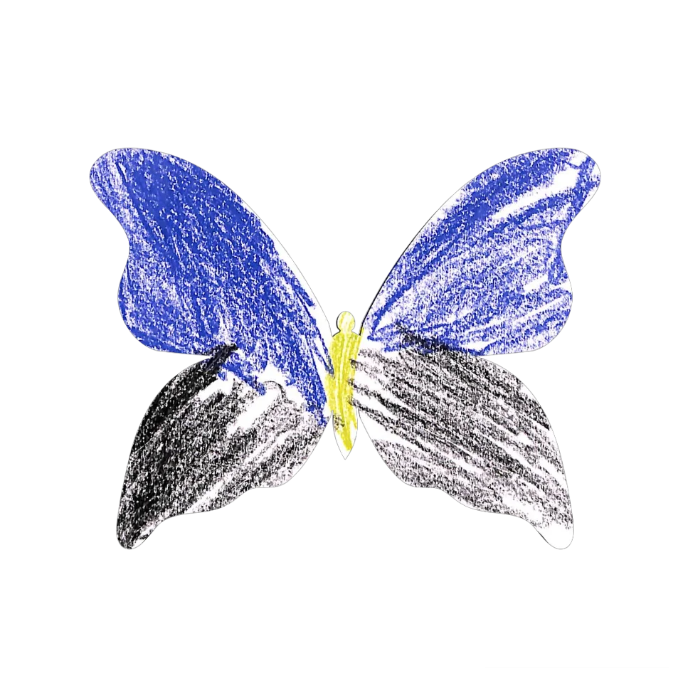 Original Butterfly Image
