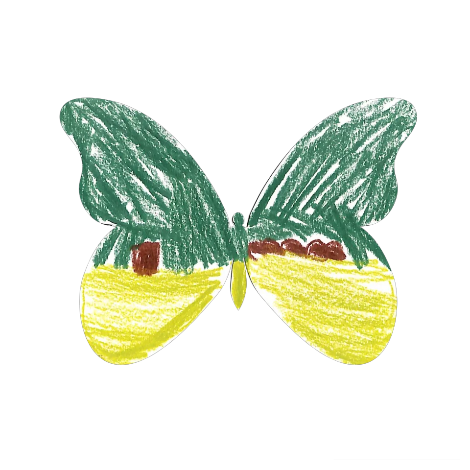 Original Butterfly Image
