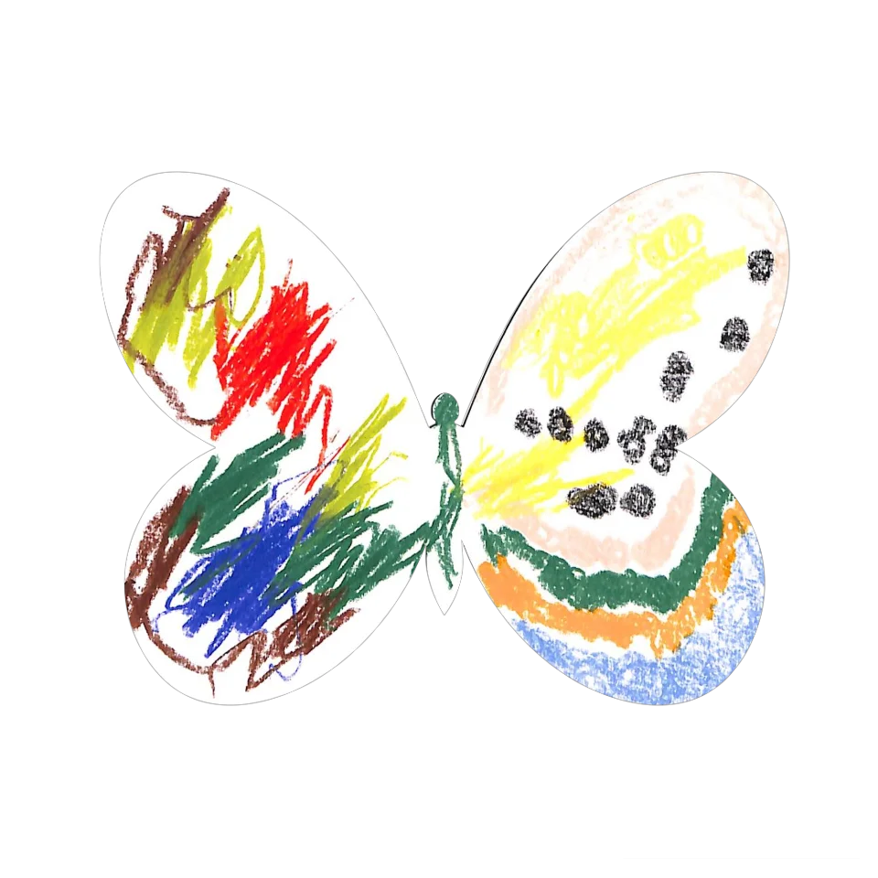 Original Butterfly Image