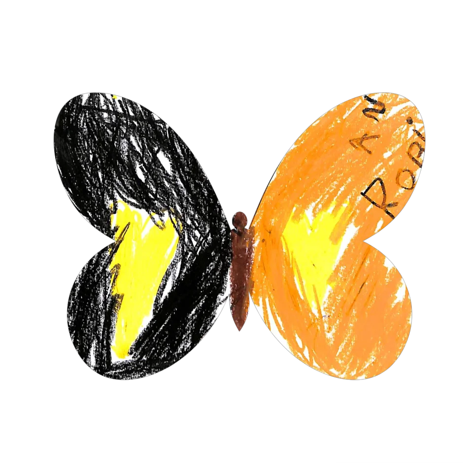 Original Butterfly Image