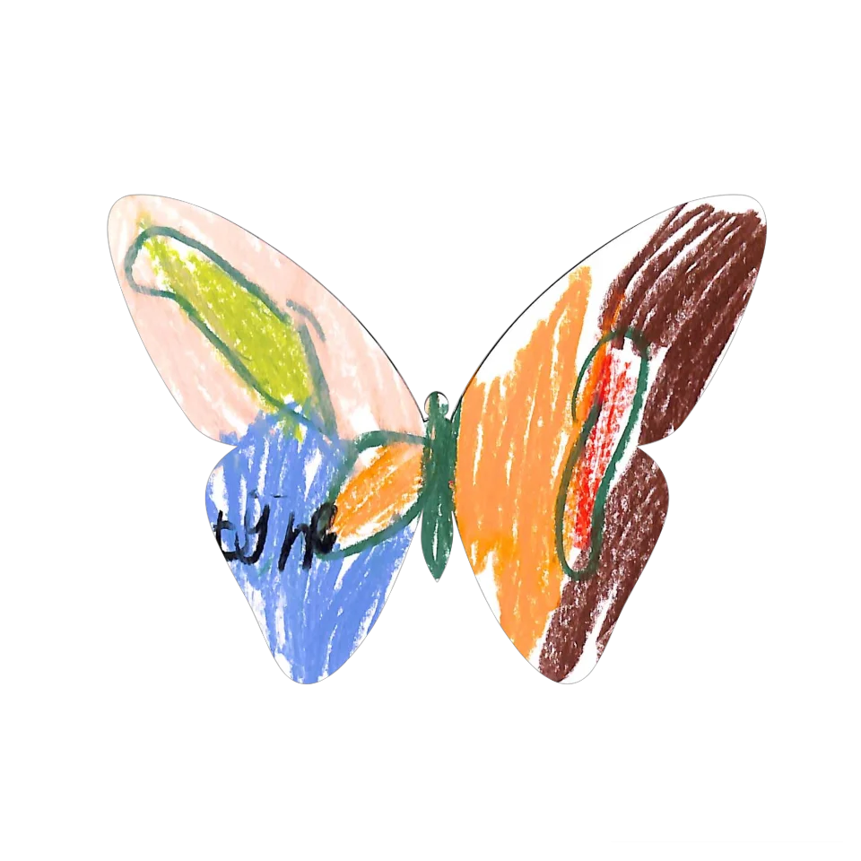 Original Butterfly Image