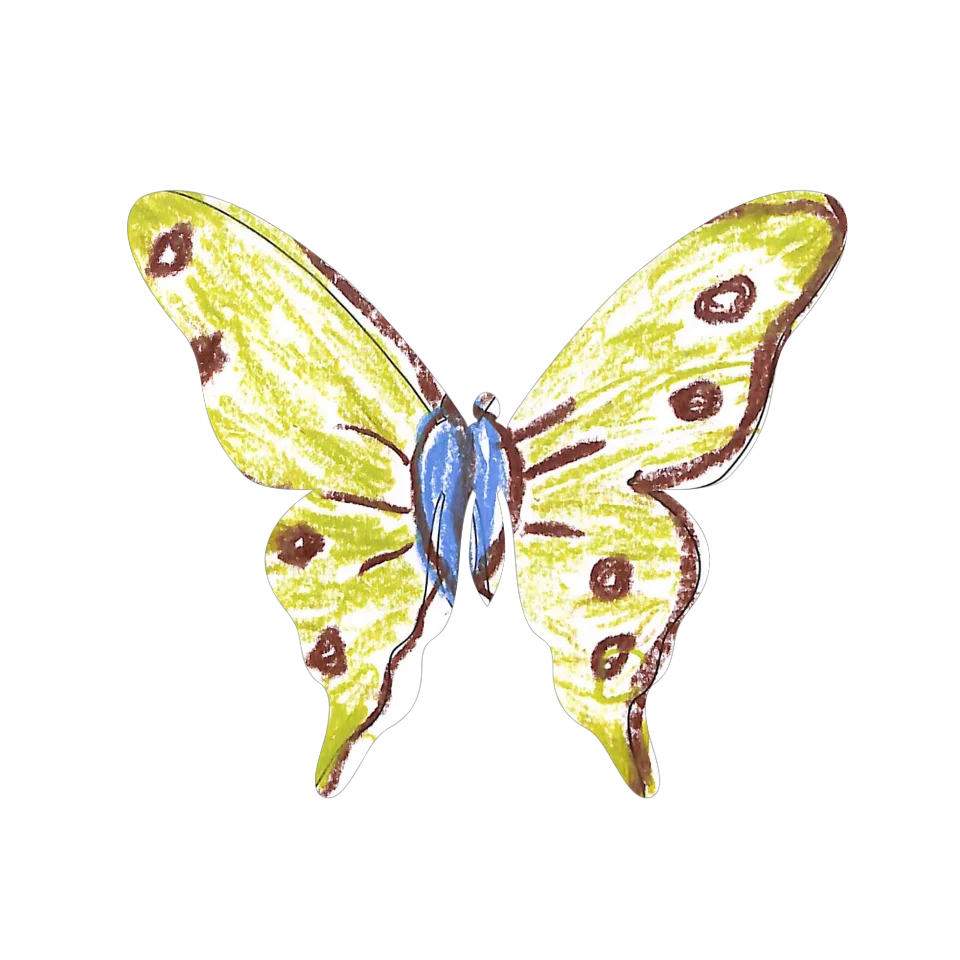 Original Butterfly Image