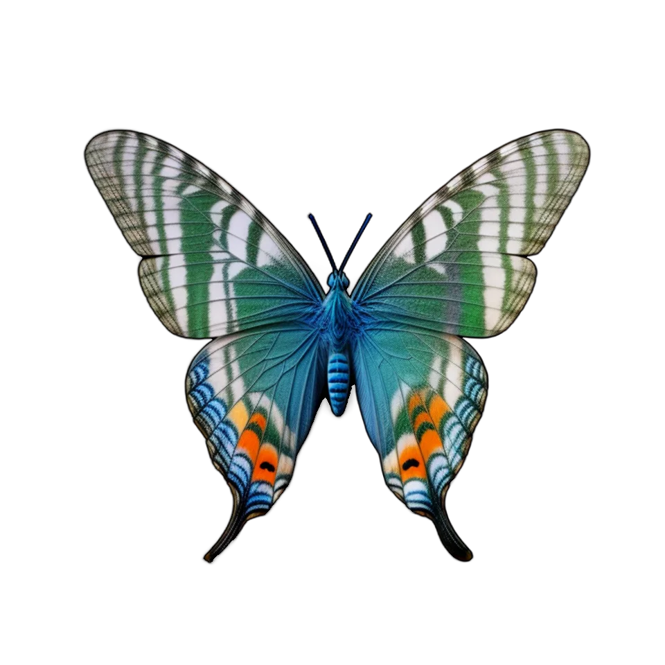 Generated Butterfly Image