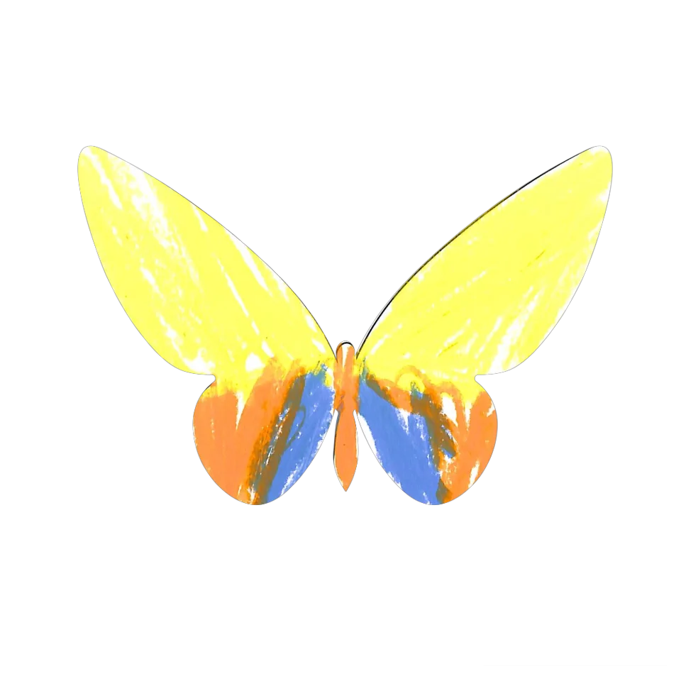 Original Butterfly Image