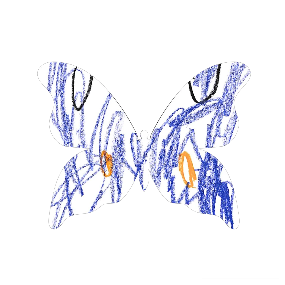 Original Butterfly Image