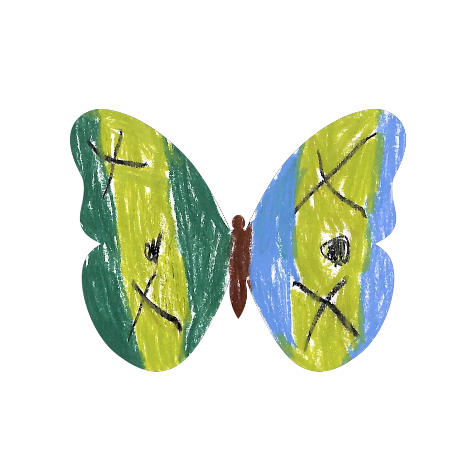 Original Butterfly Image