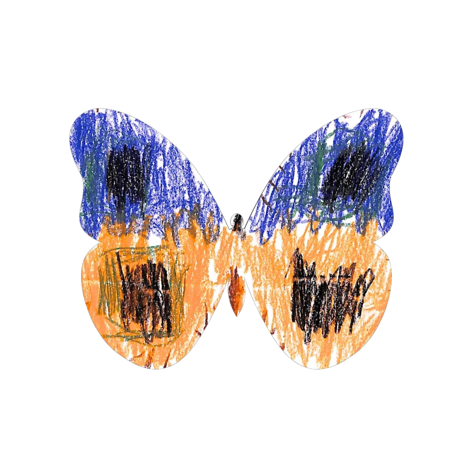 Original Butterfly Image