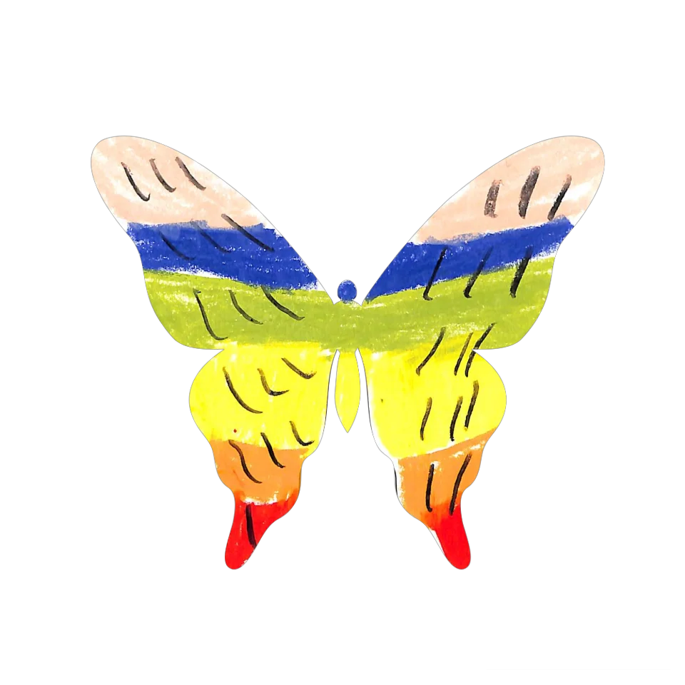 Original Butterfly Image