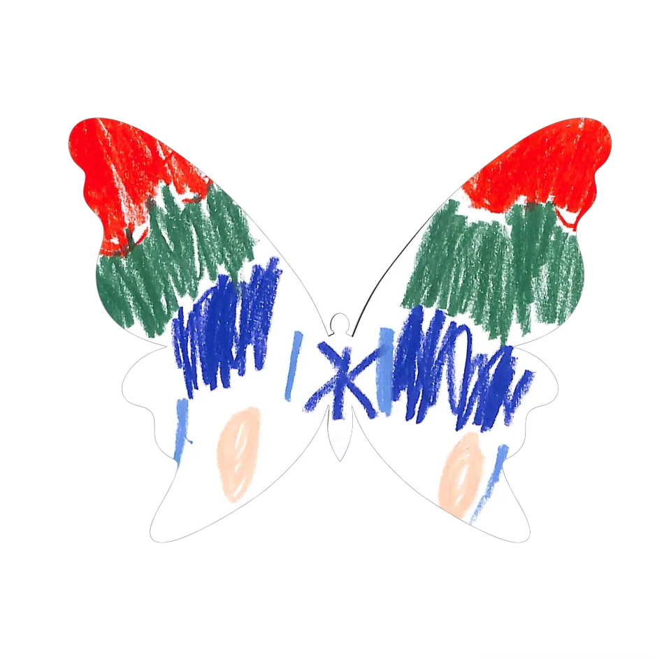 Original Butterfly Image
