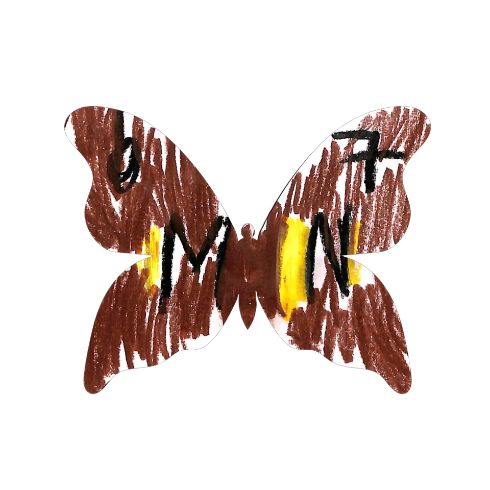 Original Butterfly Image