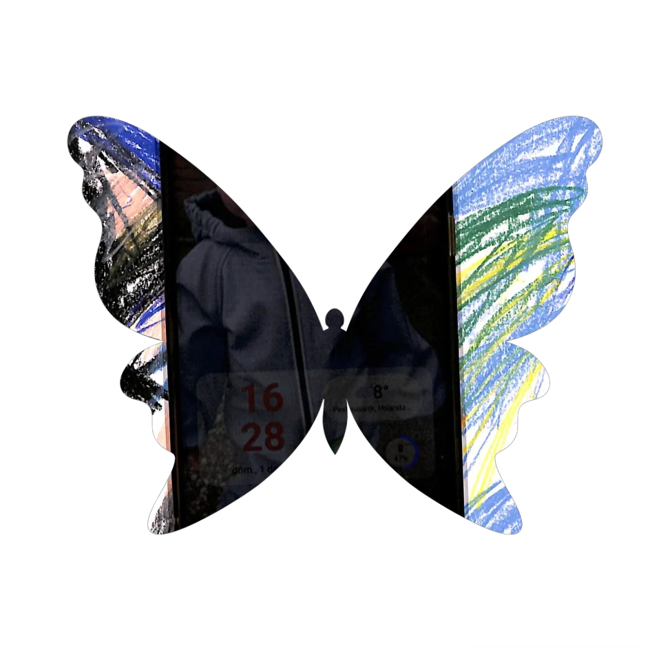 Original Butterfly Image