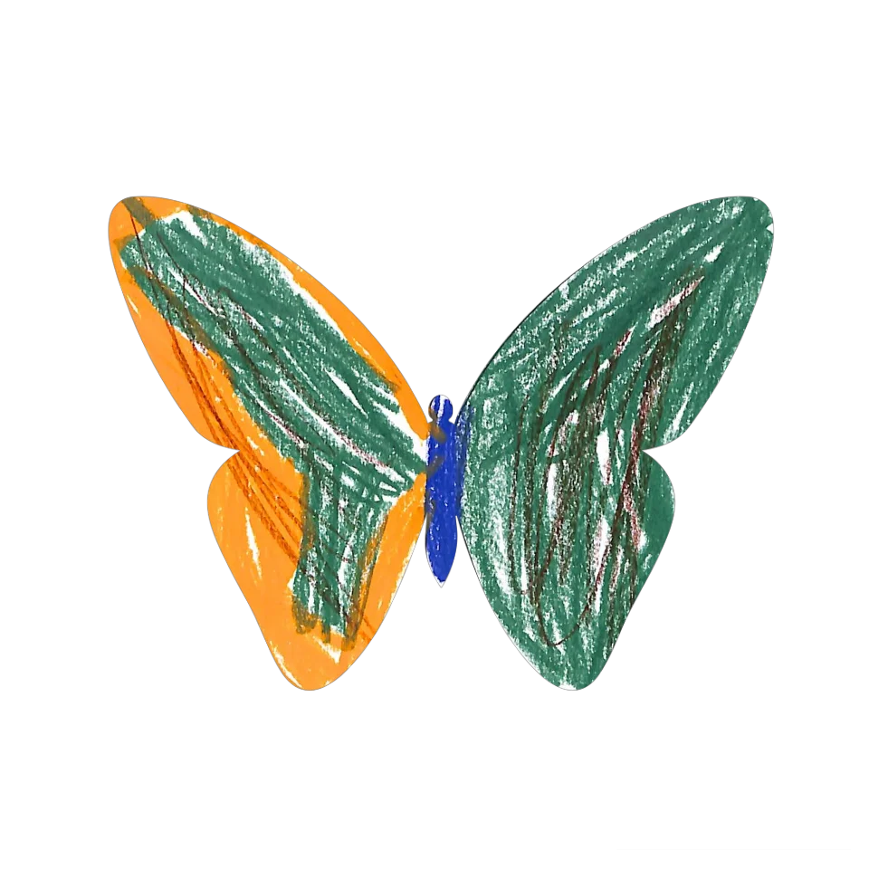Original Butterfly Image