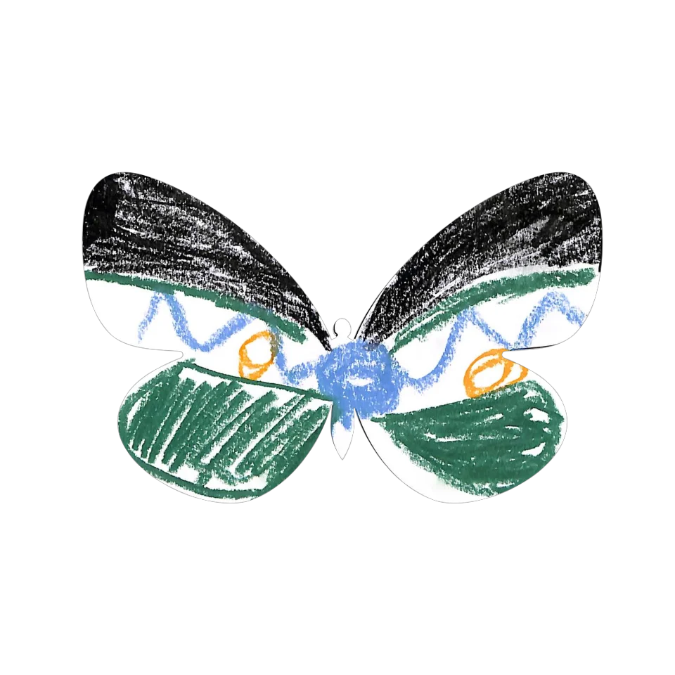 Original Butterfly Image