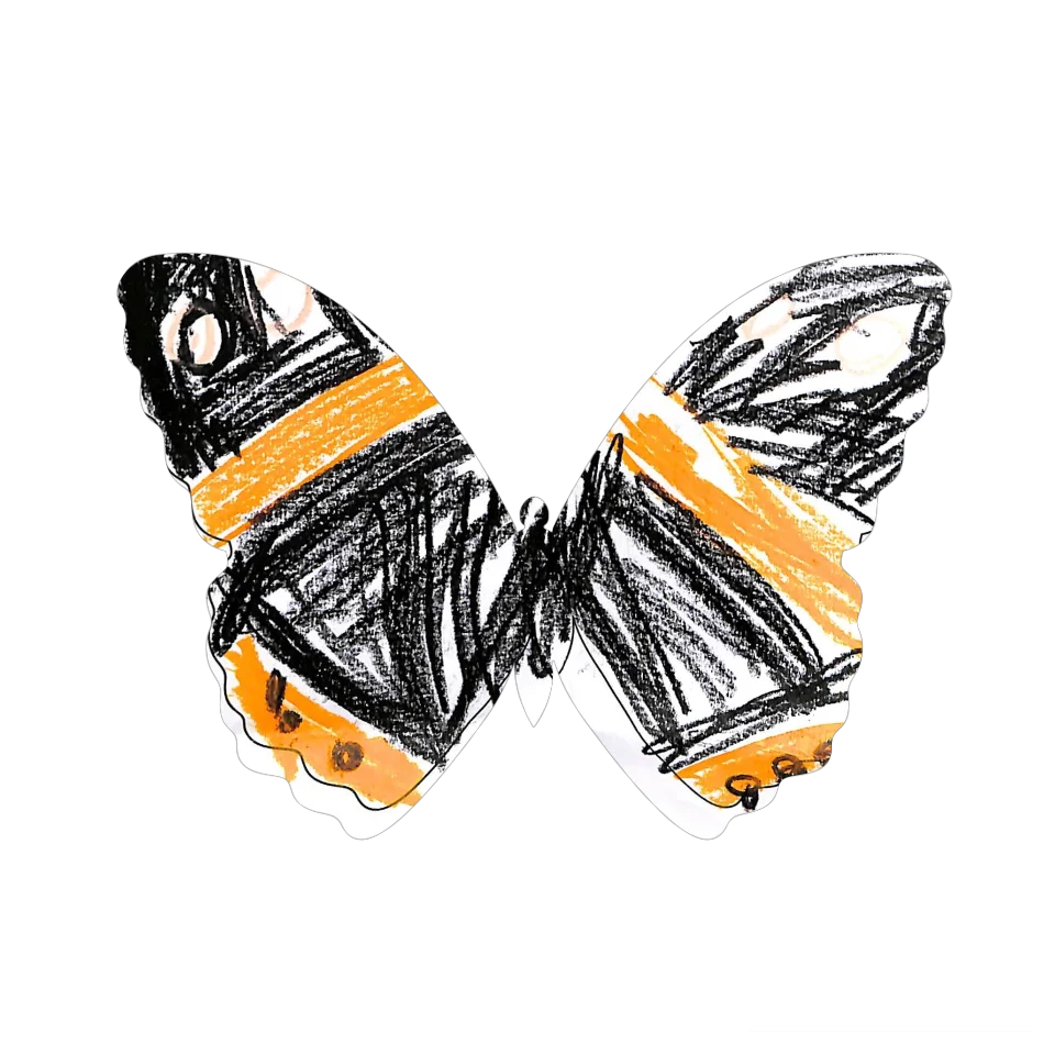 Original Butterfly Image