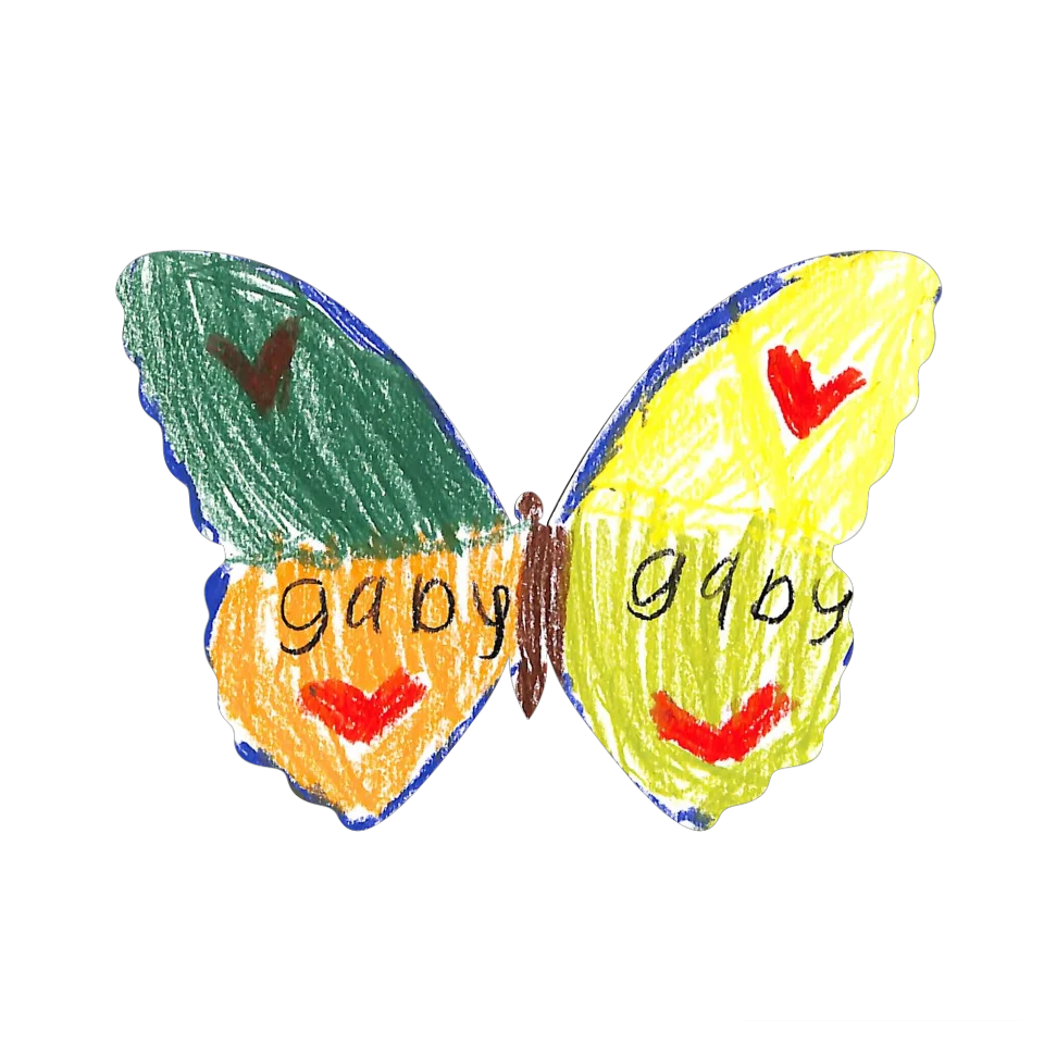 Original Butterfly Image