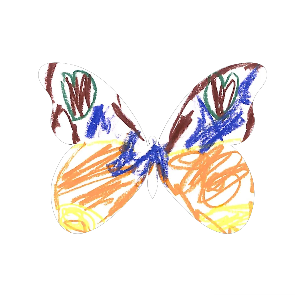Original Butterfly Image