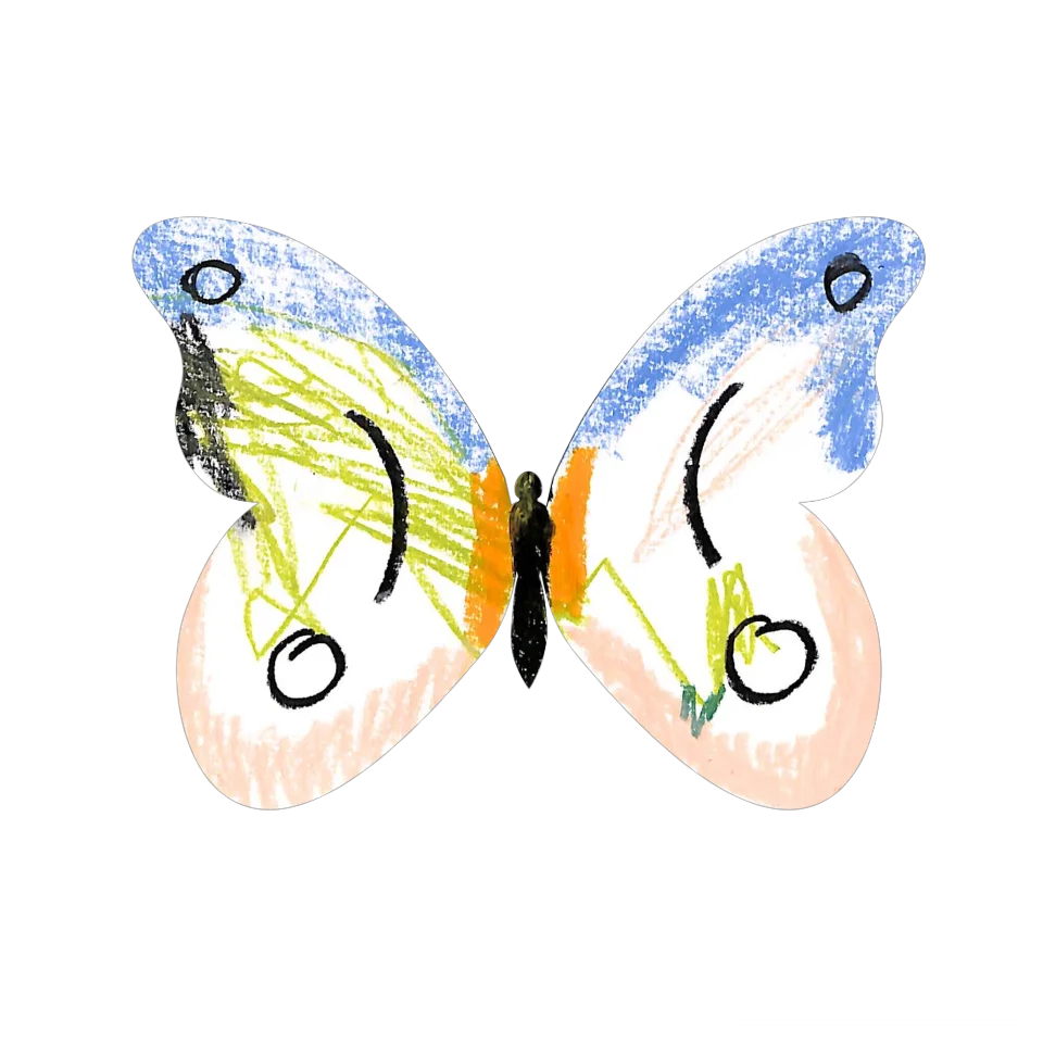 Original Butterfly Image