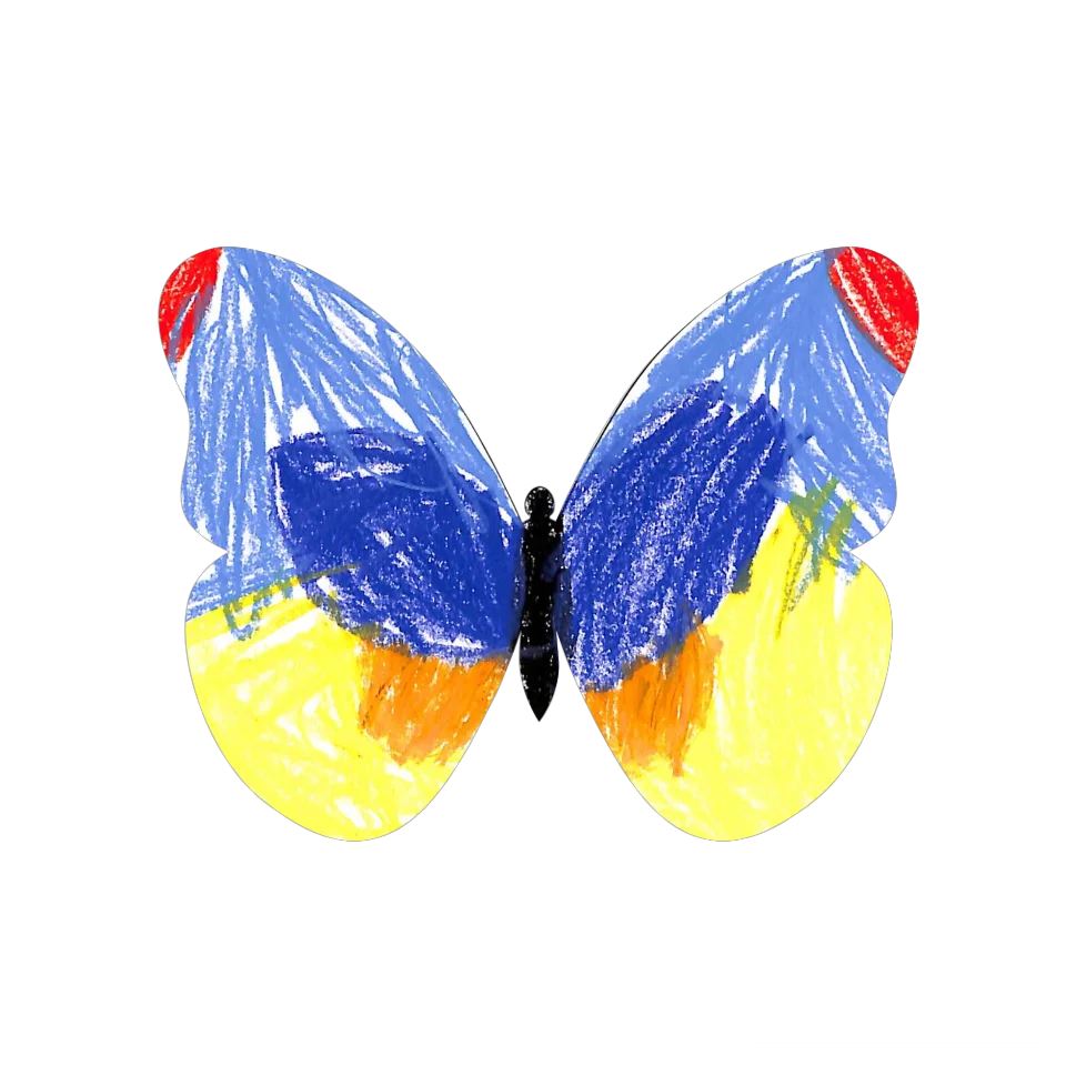 Original Butterfly Image