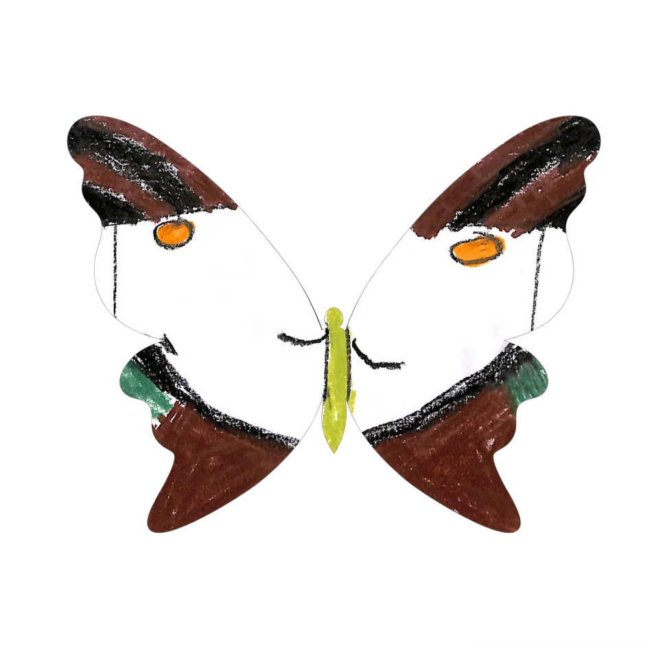 Original Butterfly Image