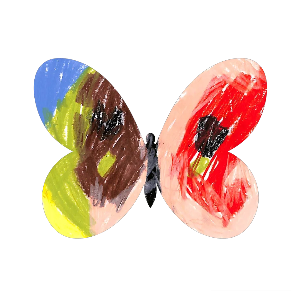 Original Butterfly Image