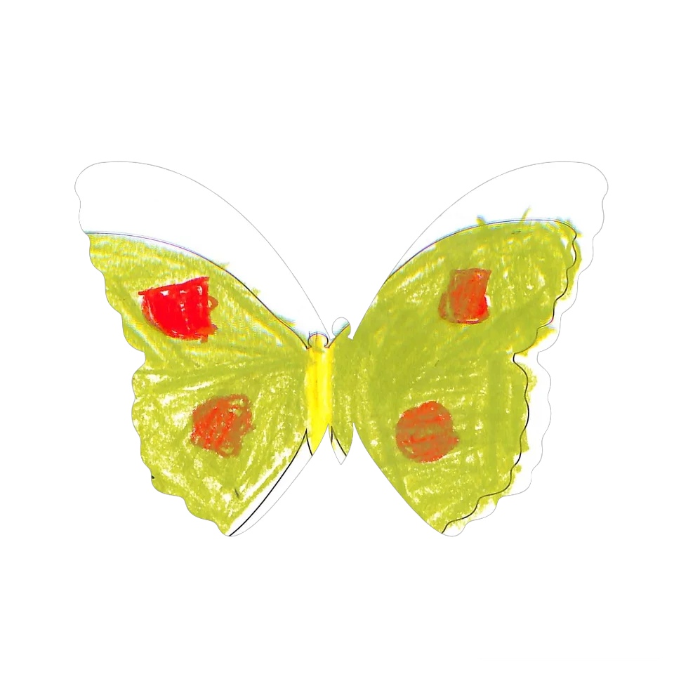 Original Butterfly Image