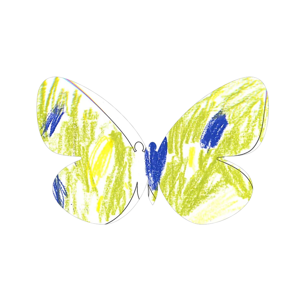 Original Butterfly Image