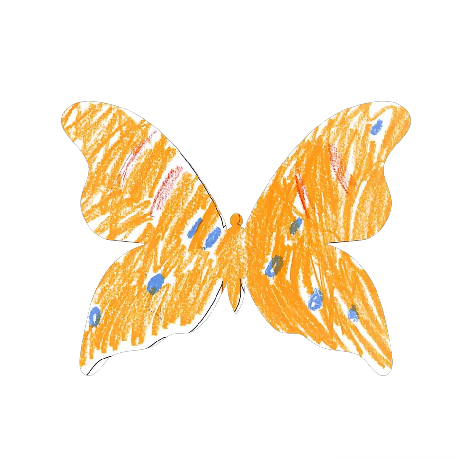 Original Butterfly Image