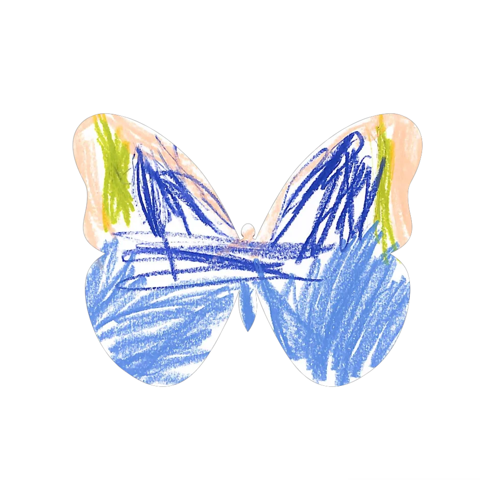 Original Butterfly Image