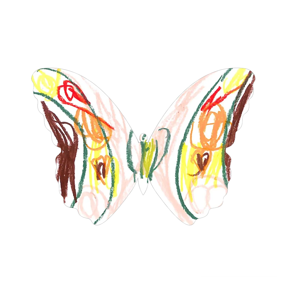 Original Butterfly Image