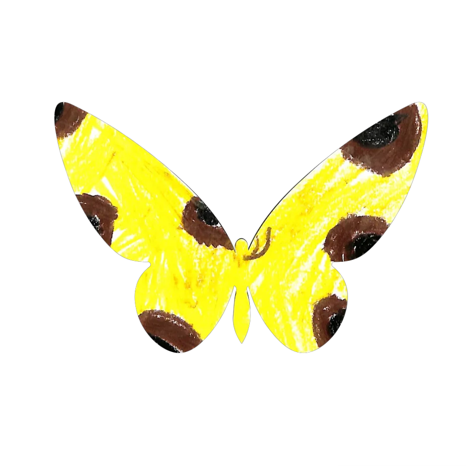 Original Butterfly Image