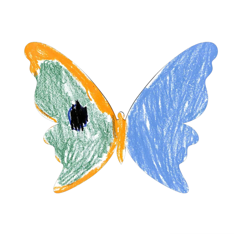 Original Butterfly Image