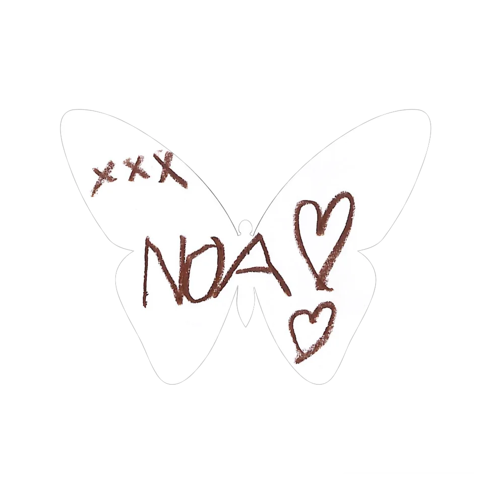 Original Butterfly Image
