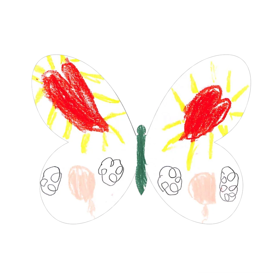 Original Butterfly Image