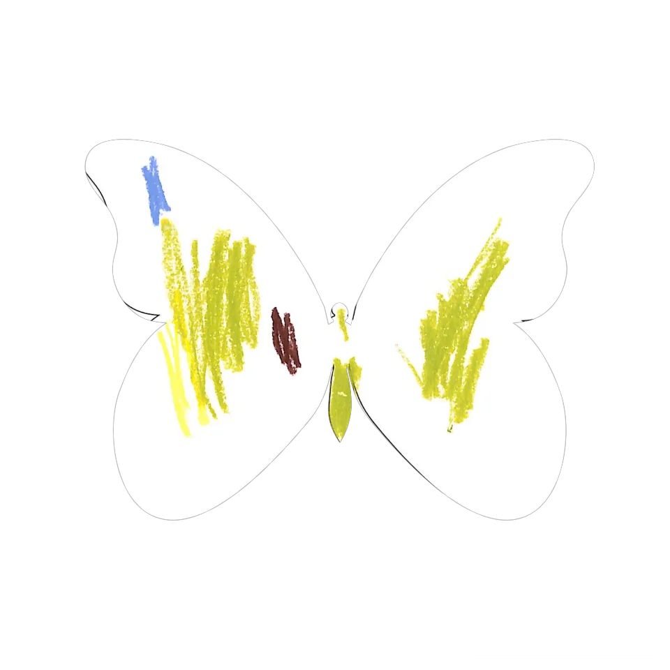 Original Butterfly Image