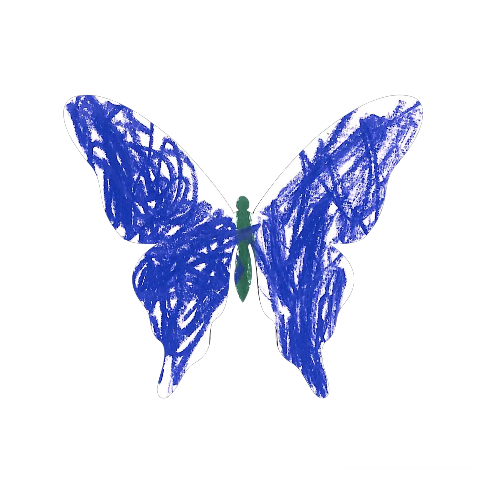 Original Butterfly Image