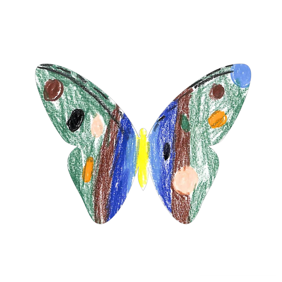 Original Butterfly Image
