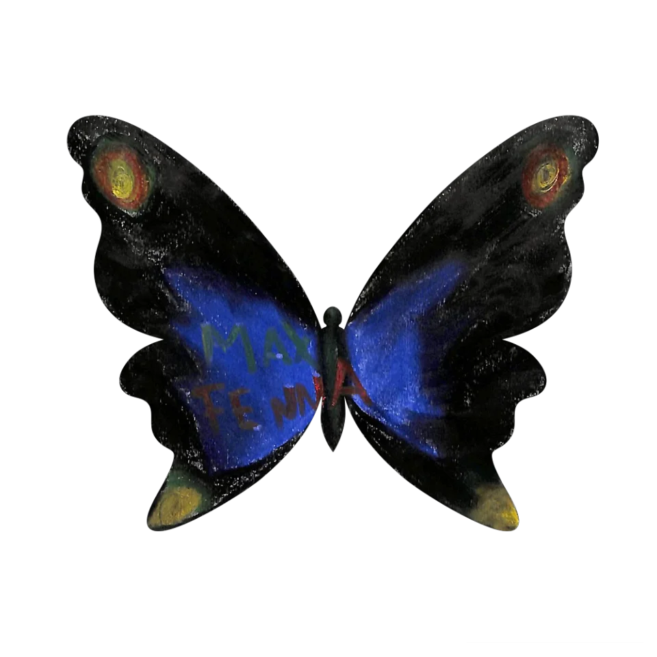 Original Butterfly Image
