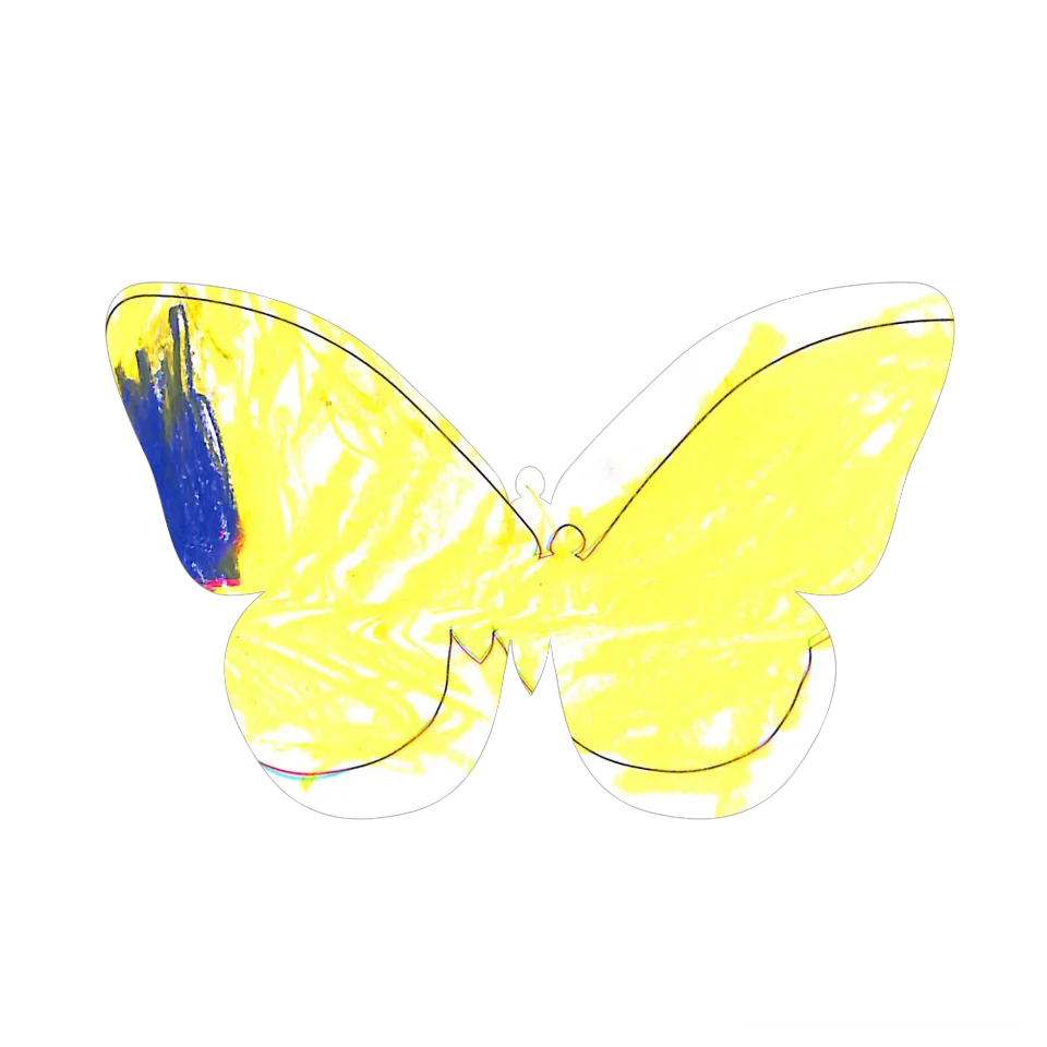 Original Butterfly Image