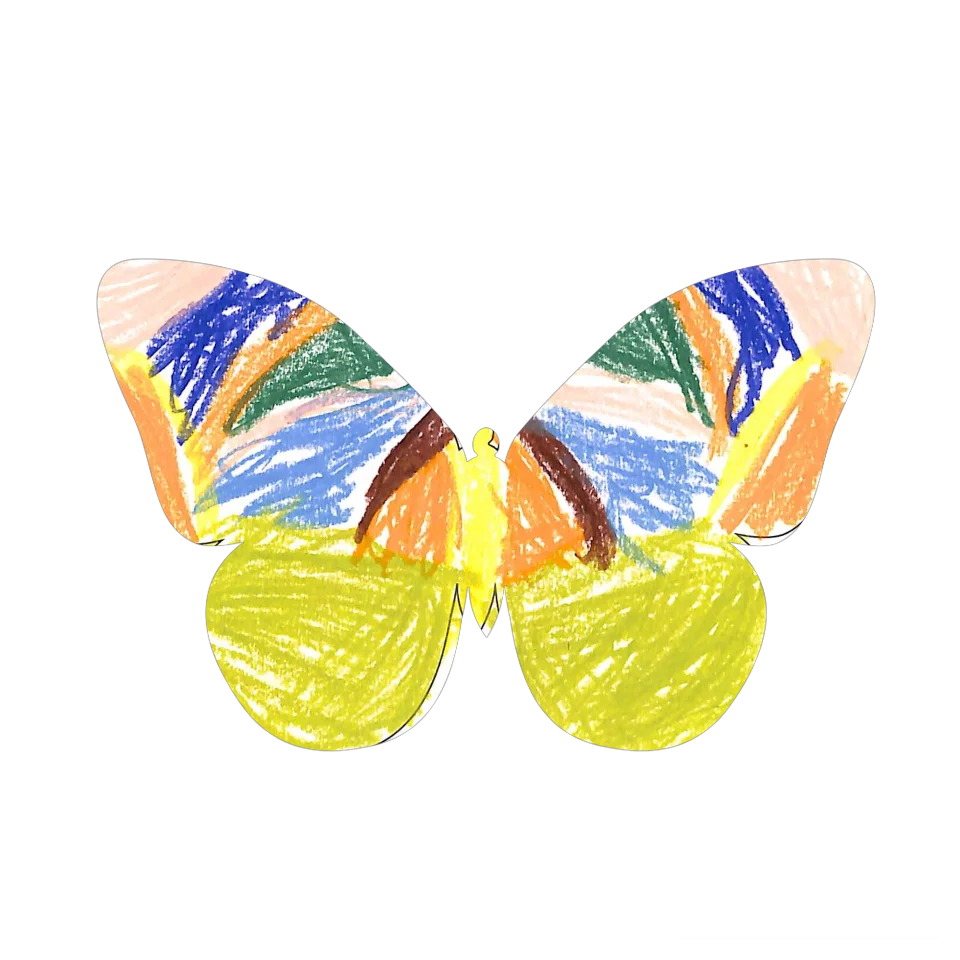 Original Butterfly Image