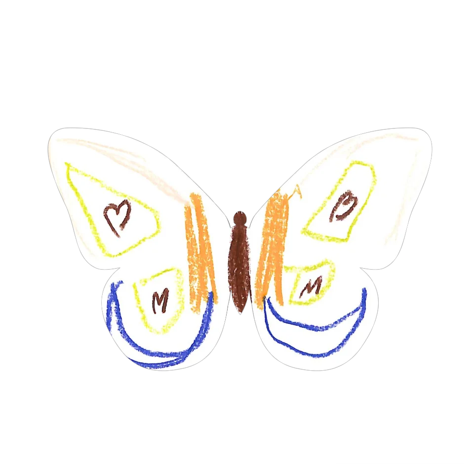 Original Butterfly Image