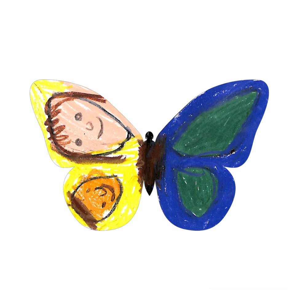 Original Butterfly Image