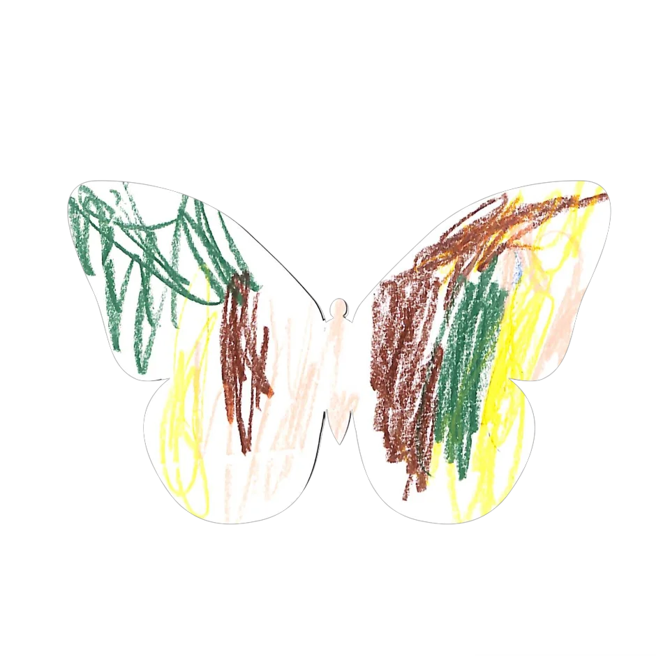 Original Butterfly Image