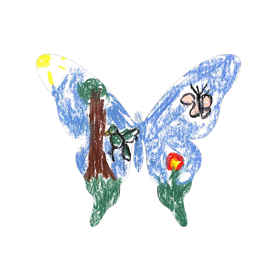 Original Butterfly Image