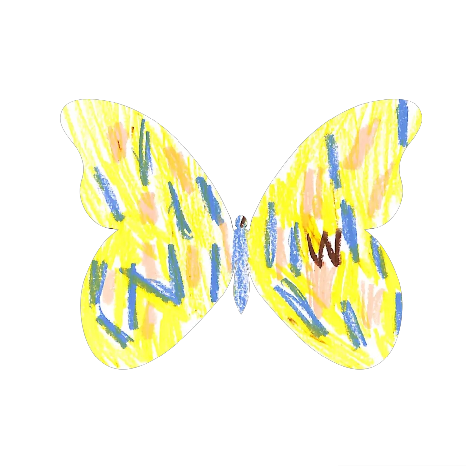 Original Butterfly Image