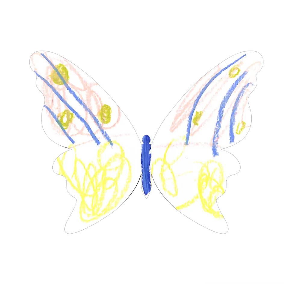 Original Butterfly Image