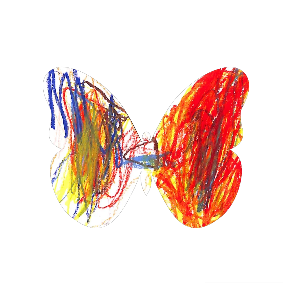 Original Butterfly Image