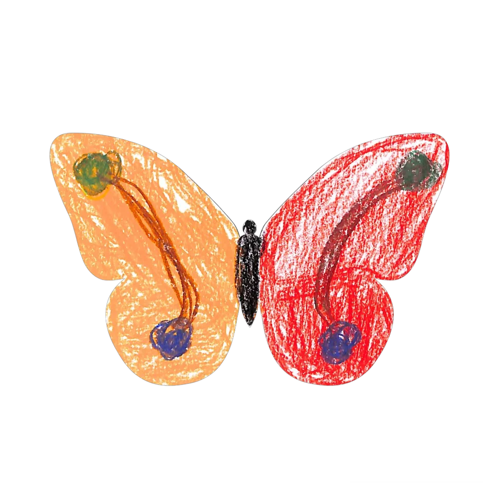 Original Butterfly Image