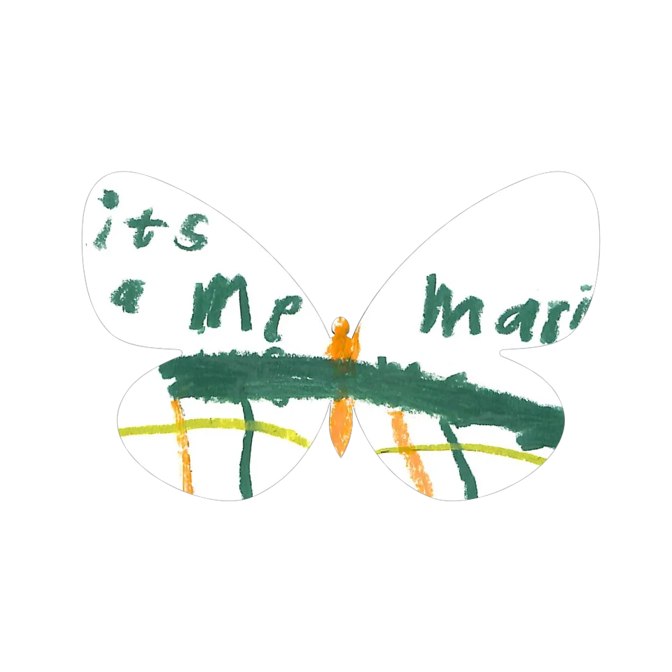Original Butterfly Image