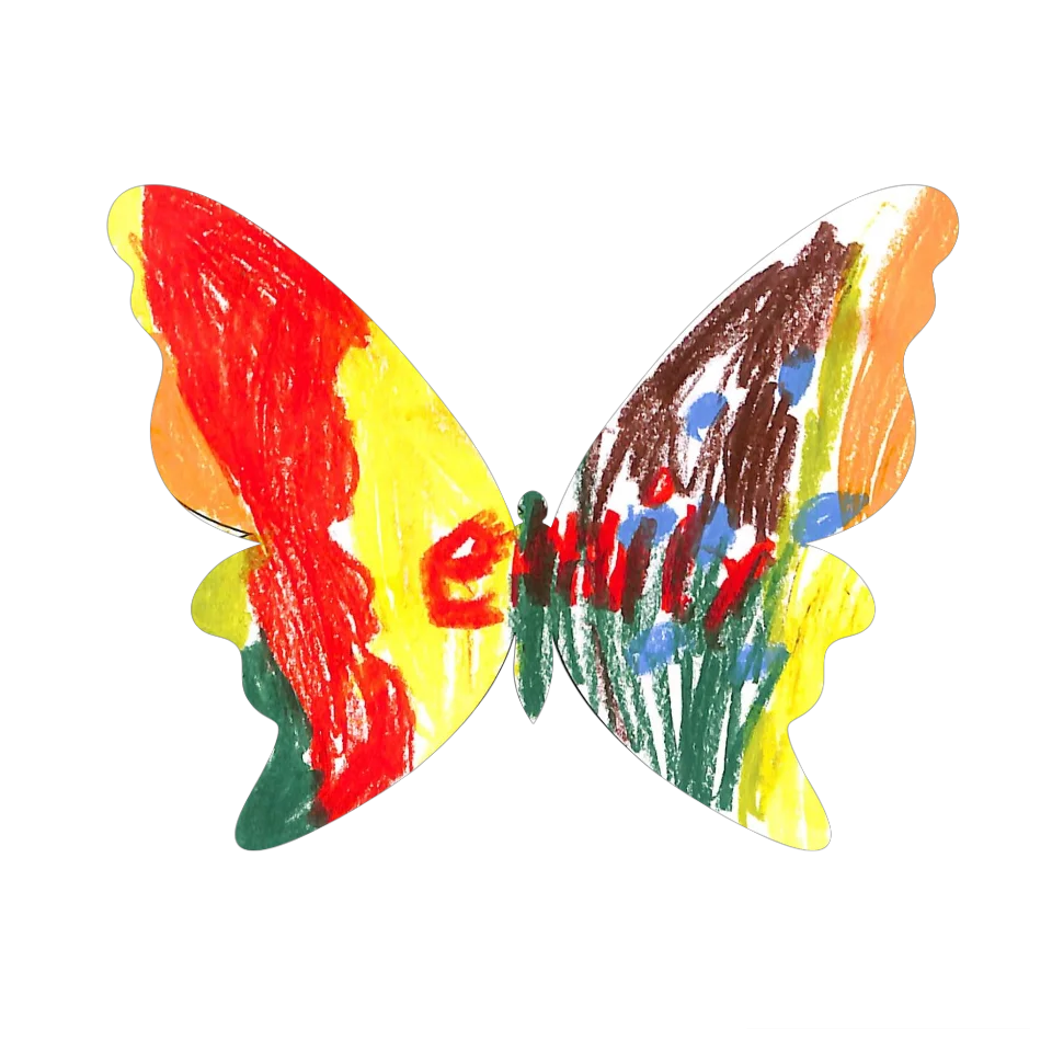 Original Butterfly Image