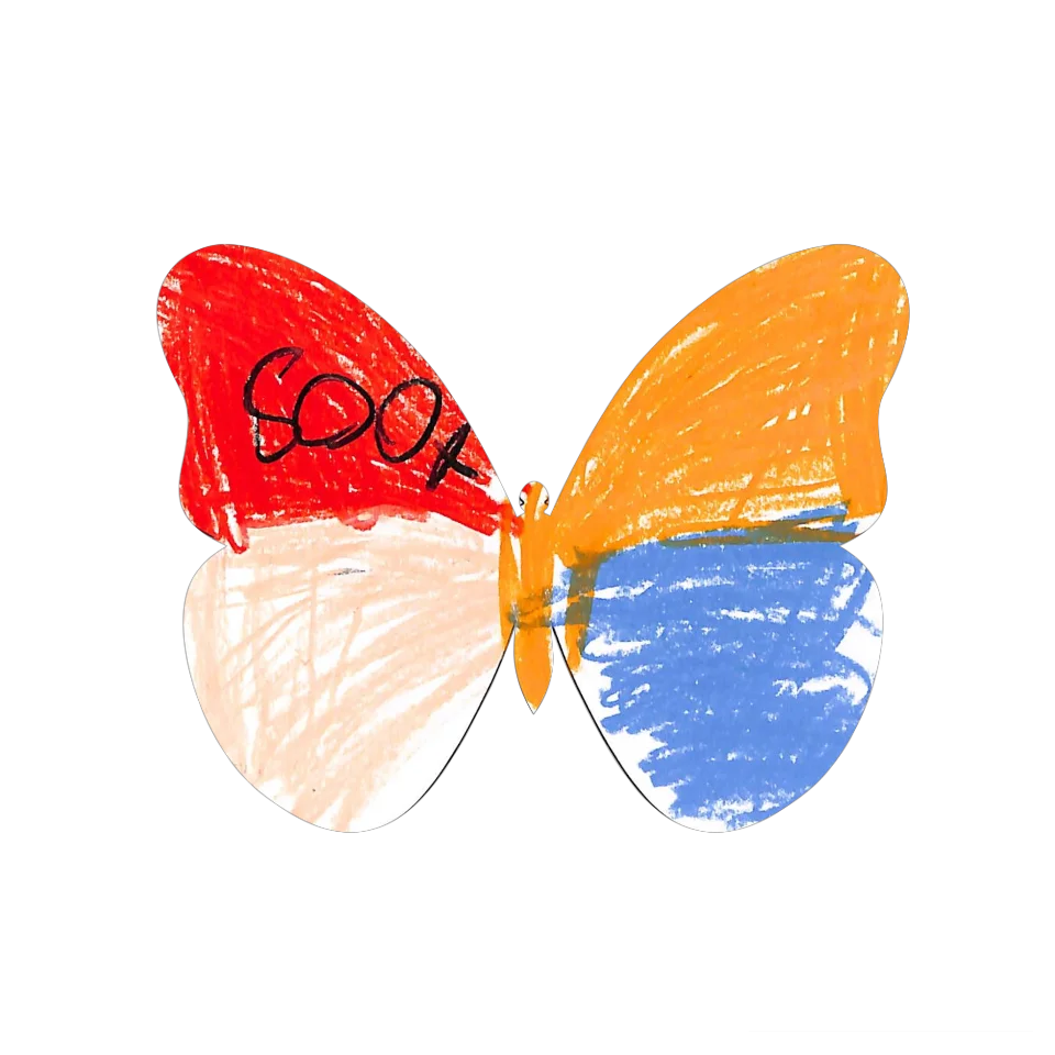 Original Butterfly Image